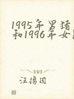 1995年男猪和1996年女鼠婚配如何