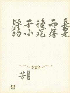 脖子后面长肉色的小疙瘩是什么原因