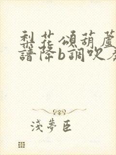 梨花颂葫芦丝曲谱降b调吹奏