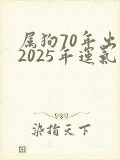 属狗70年出生2025年运气如何封面
