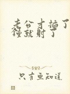 老公才插了几分钟就射了