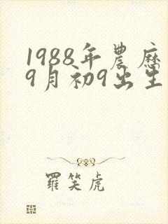 1988年农历9月初9出生的命运