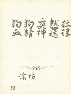 狗狗突然拉稀带血精神还很好