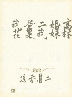 我爸二婚高冷校花是我妹林婉冰