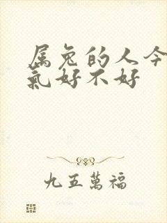 属兔的人今年运气好不好