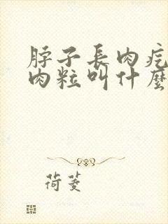 脖子长肉疙瘩小肉粒叫什么