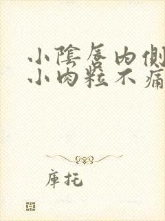 小阴唇内侧皮肤小肉粒不痛不痒