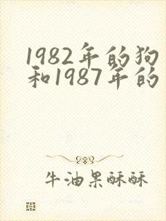 1982年的狗和1987年的兔财运如何封面