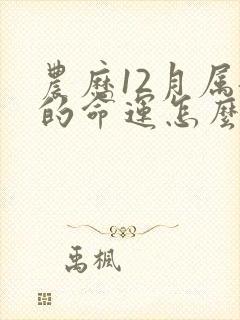 农历12月属龙的命运怎么样封面