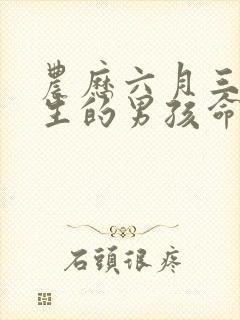 农历六月三十出生的男孩命运