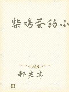 柴鸡蛋的小说