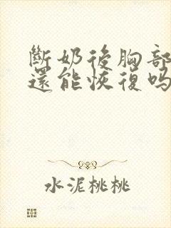 断奶后胸部萎缩还能恢复吗封面