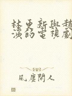 林更新与赵丽颖演的电视剧封面