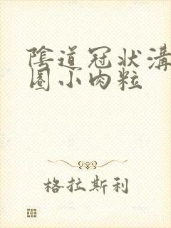 阴道冠状沟有一圈小肉粒封面