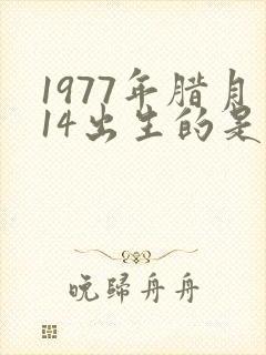 1977年腊月14出生的是什么命