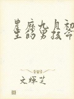 农历九月初六出生的男孩命运封面