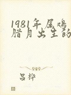 1981年属鸡腊月出生的命运