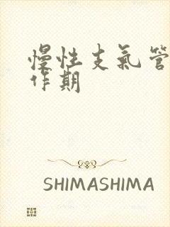 慢性支气管炎发作期