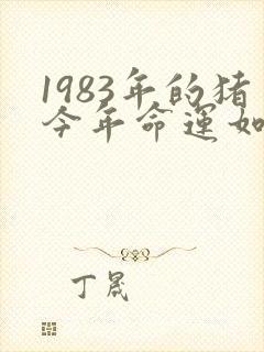 1983年的猪今年命运如何