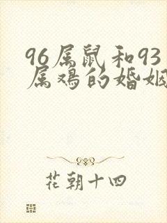 96属鼠和93属鸡的婚姻怎么样