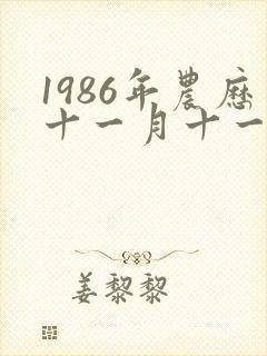 1986年农历十一月十一出生的人命运如何封面