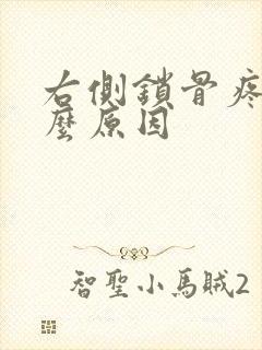 右侧锁骨疼是什么原因