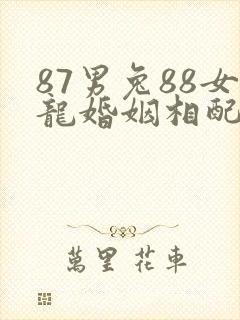 87男兔88女龙婚姻相配吗