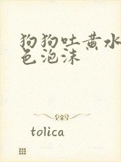 狗狗吐黄水带白色泡沫