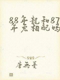 88年龙和87年兔相配吗