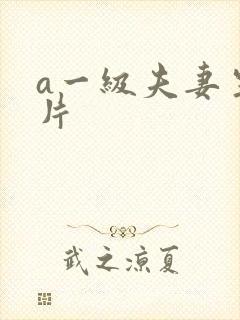 a一级夫妻生活片
