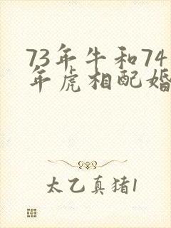 73年牛和74年虎相配婚姻如何