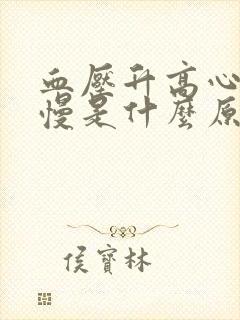 血压升高心跳变慢是什么原因封面