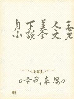 月下美人王磊杨小说全文免费封面