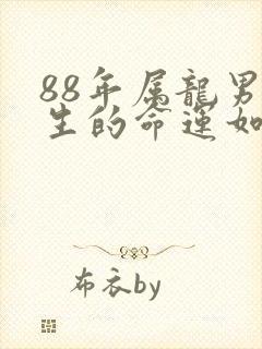 88年属龙男一生的命运如何封面