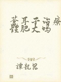 苍耳子治疗腺样体肥大吗