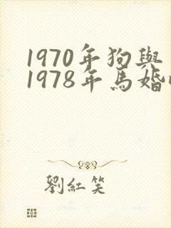 1970年狗与1978年马婚配