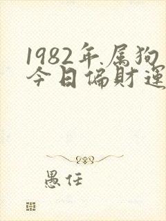 1982年属狗今日偏财运如何