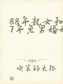 88年龙女和87年兔男婚姻合不封面