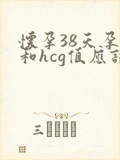 怀孕38天孕酮和hcg值应该多少封面