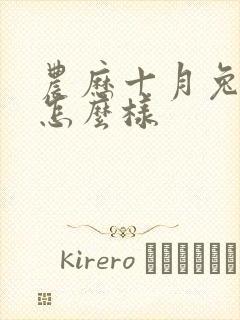 农历十月兔命运怎么样