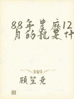 88年农历12月的龙是什么命