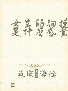 女生的胸摸起来是什么感觉