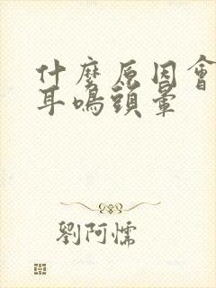 什么原因会导致耳鸣头晕封面