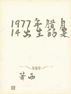 1977年腊月14出生的是什么命