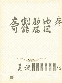 左侧肋内疼痛的可能病因