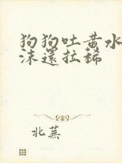 狗狗吐黄水带泡沫还拉稀封面