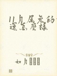 11月属兔的命运怎么样