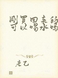 刚买回来的小狗可以喝水吗