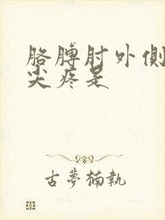 胳膊肘外侧骨头尖疼是封面