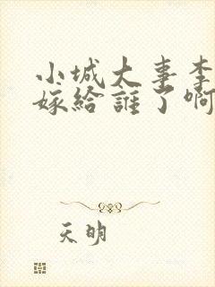 小城大事李秋萍嫁给谁了啊封面